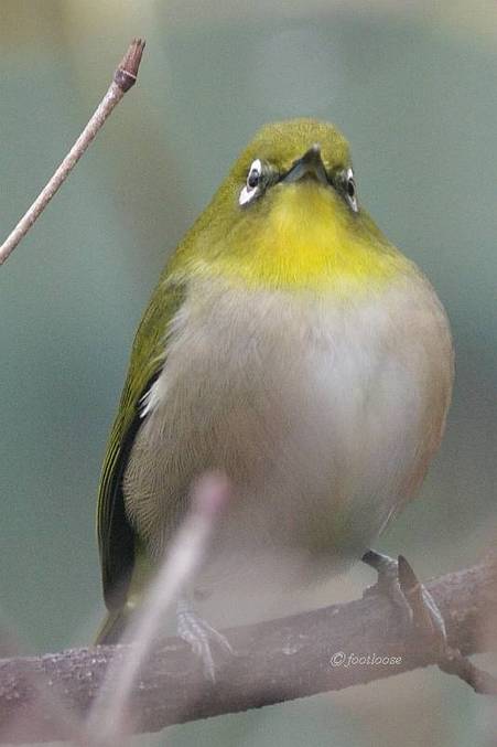 2010-12-30_023.jpg