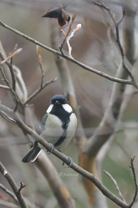 2010-12-30_047.jpg