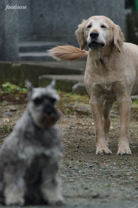 20100120_196.jpg