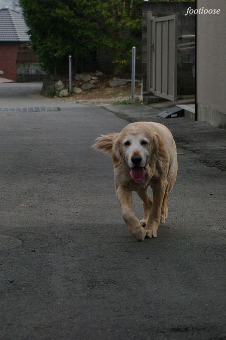 20100120_210.jpg