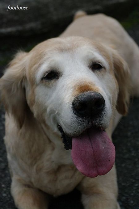 20100120_254.jpg
