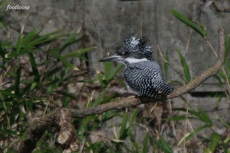 20100220_144.jpg