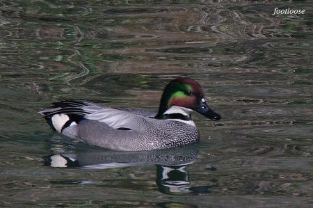 20100220_174.jpg