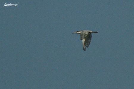20100220_202x.jpg