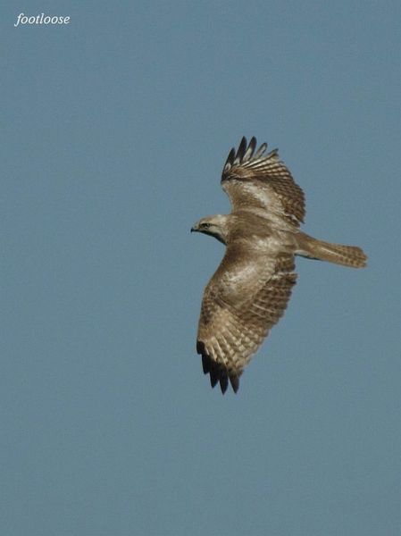 20100220_276.jpg