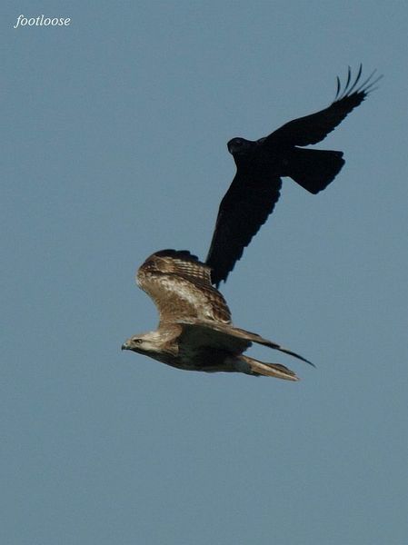 20100220_278.jpg