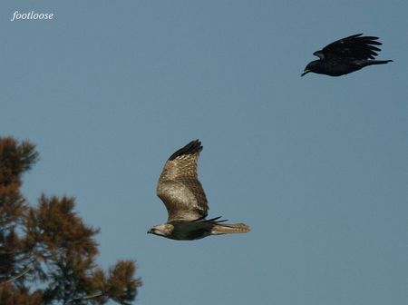 20100220_279.jpg