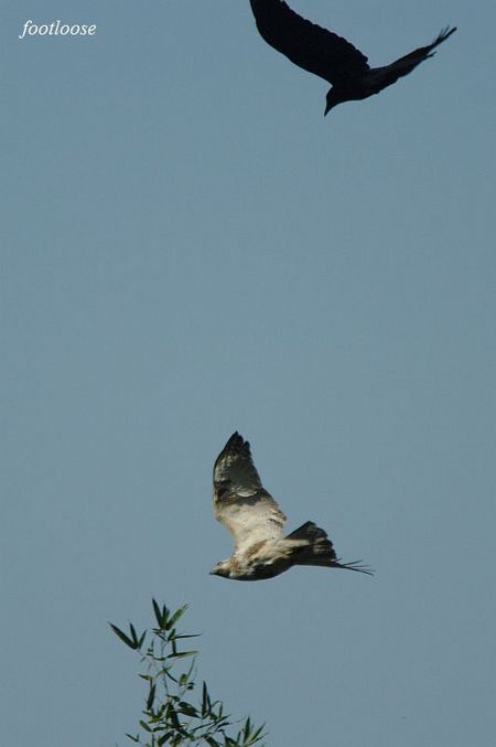 20100220_287.jpg