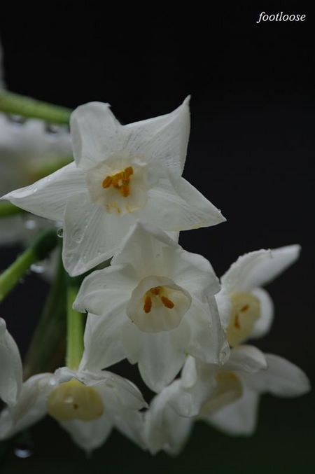 20100309_039.jpg