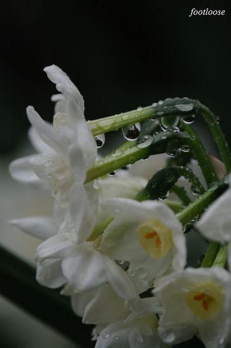 20100309_041.jpg