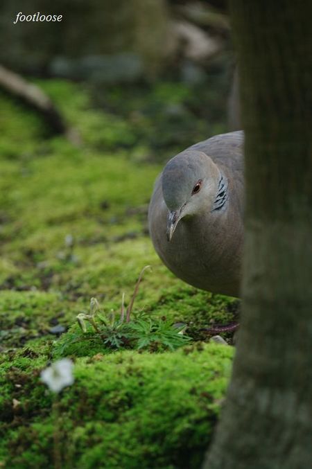 20100309_088.jpg