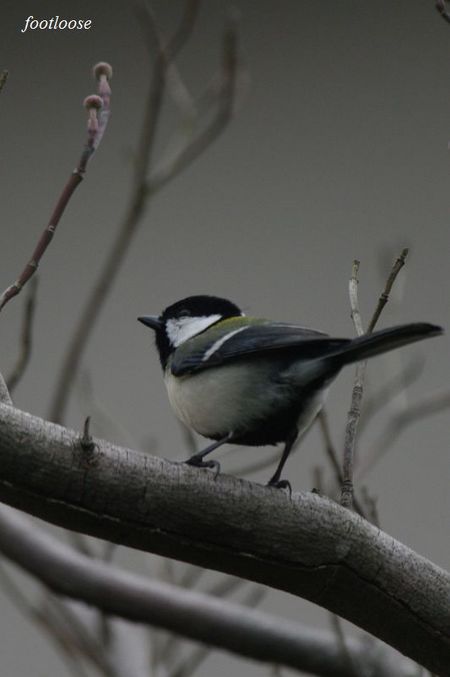 20100309_119.jpg