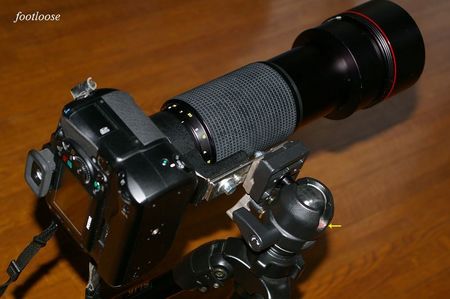 20100313_046x.jpg