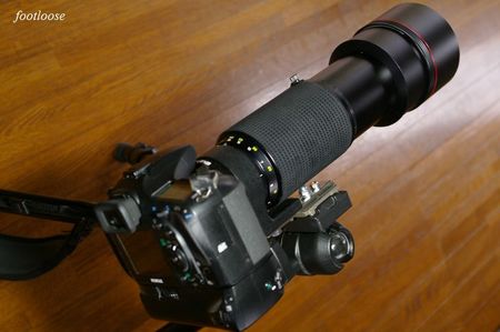 20100313_052.jpg