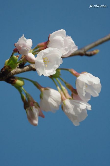 20100319_008.jpg