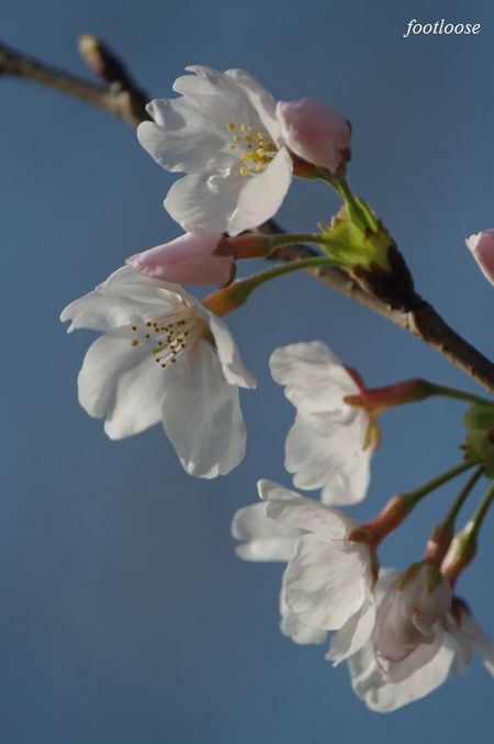 20100319_011.jpg