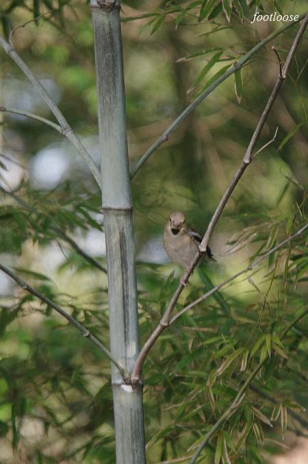 20100319_090.jpg