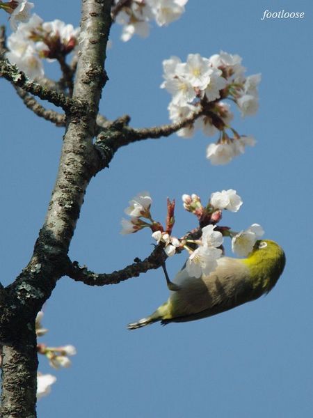 20100319_127.jpg