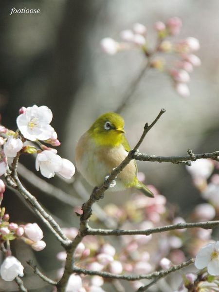 20100319_188.jpg