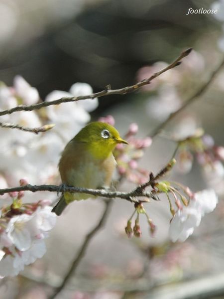 20100319_191.jpg