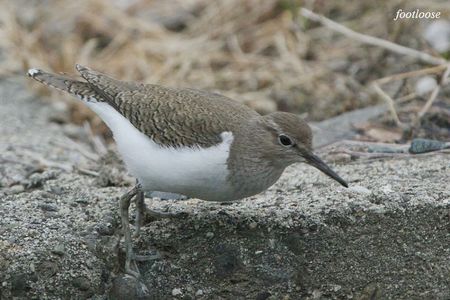 20100320_025.jpg