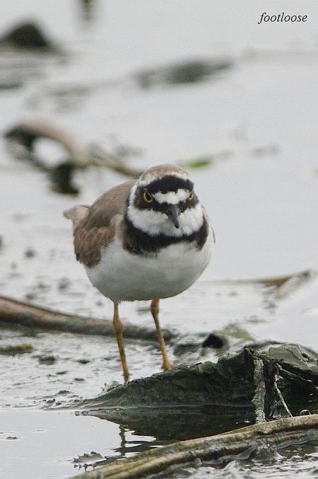 20100320_260.jpg