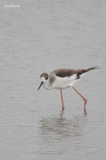 20100320_309.jpg