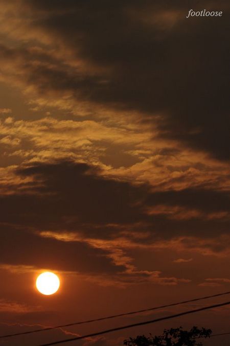 20100424_007.jpg