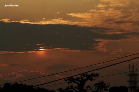 20100424_020.jpg