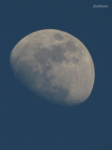 20100424_085.jpg
