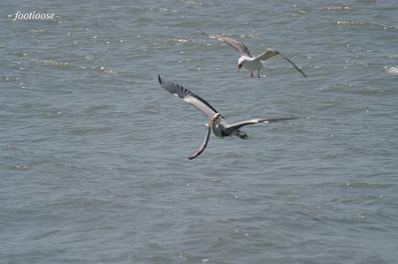 20100425_520.jpg