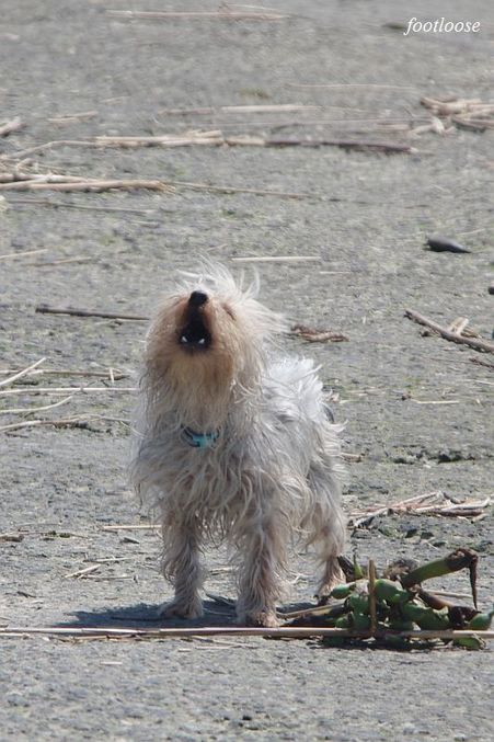 20100425_529.jpg