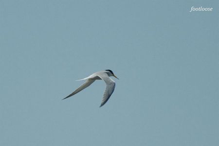 20100425_534.jpg