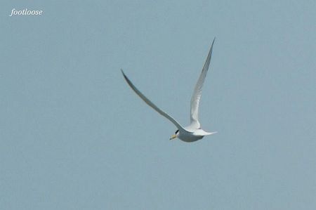 20100425_583.jpg