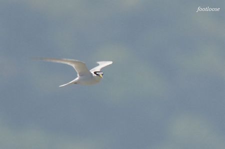 20100425_608.jpg