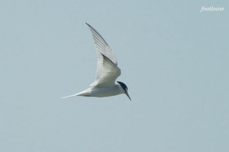 20100425_612.jpg