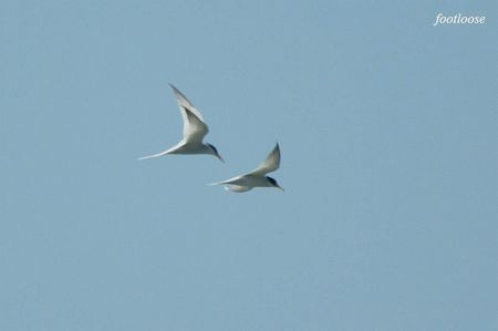 20100425_624.jpg