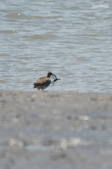 20100425_682.jpg