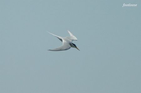 20100425_712.jpg
