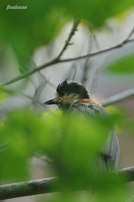 20100505_061.jpg