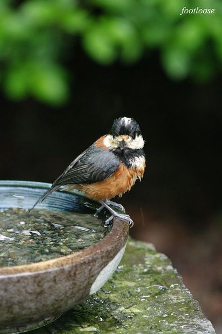 20100505_067.jpg