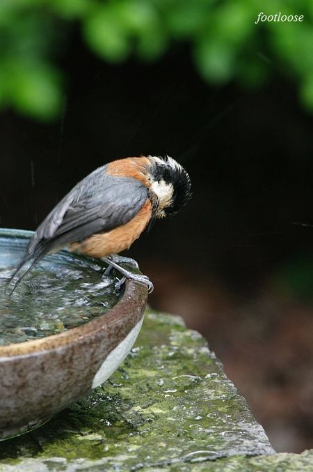 20100505_068.jpg