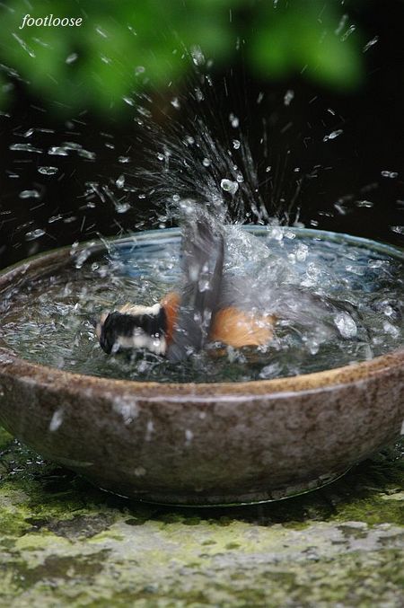 20100505_071.jpg