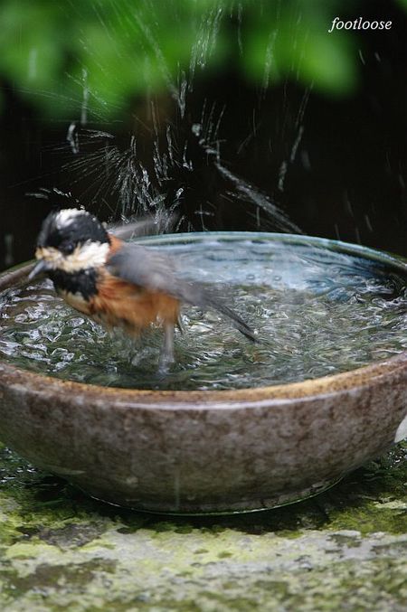 20100505_072.jpg