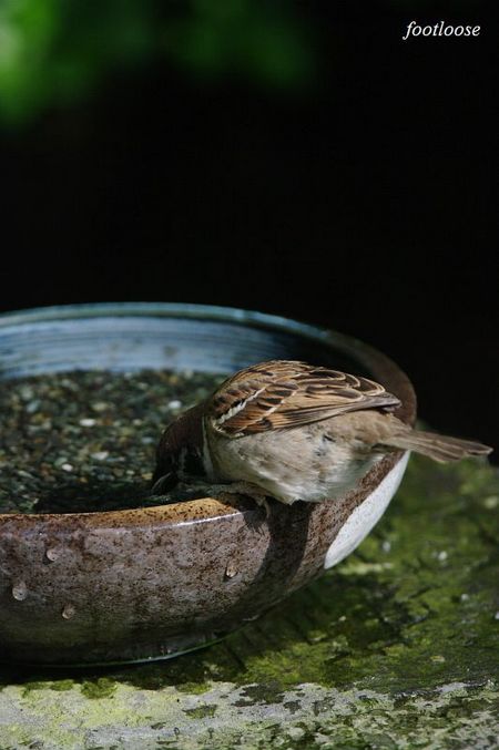 20100505_102.jpg