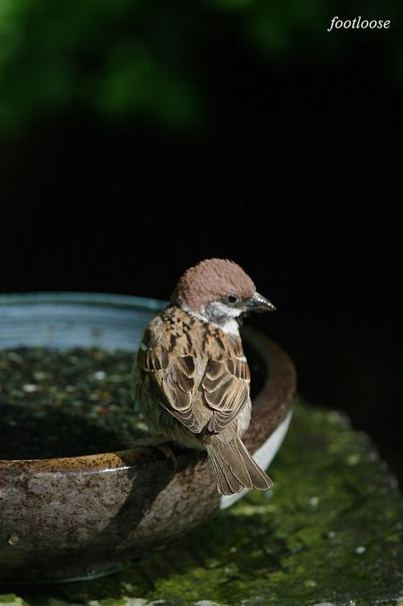 20100505_104.jpg