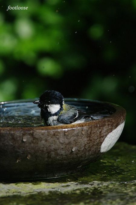 20100505_151.jpg