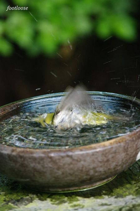 20100505_153.jpg