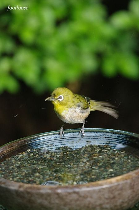 20100505_155.jpg