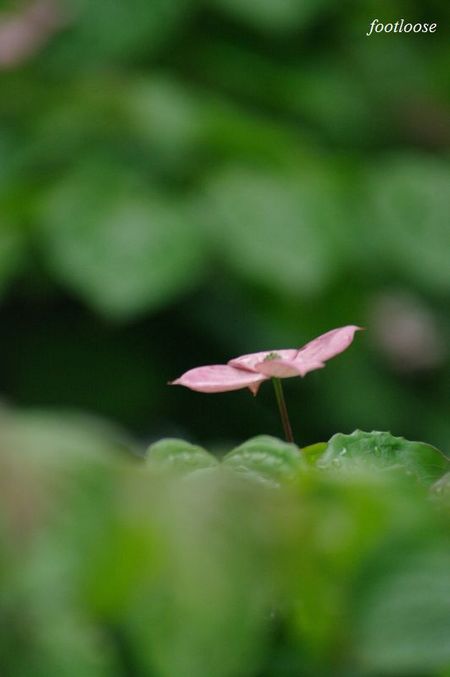 20100506_028.jpg